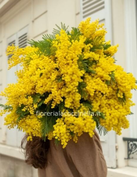 Bouquet di Mimosa