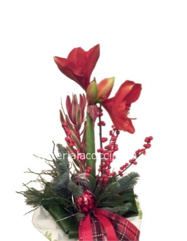 Tralcio di Fiori Natalizio