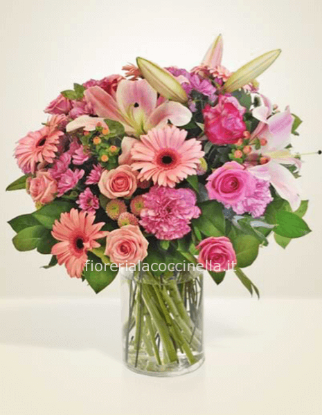 STANDARD MISTO ROSA
