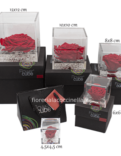 Flower Cube - Rosa Stabilizzata Rossa