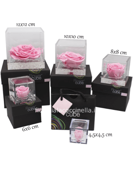 Flower Cube - Rosa Stabilizzata Rosa