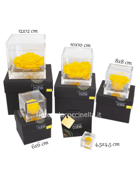 FLOWER CUBE 6*6 GIALLA