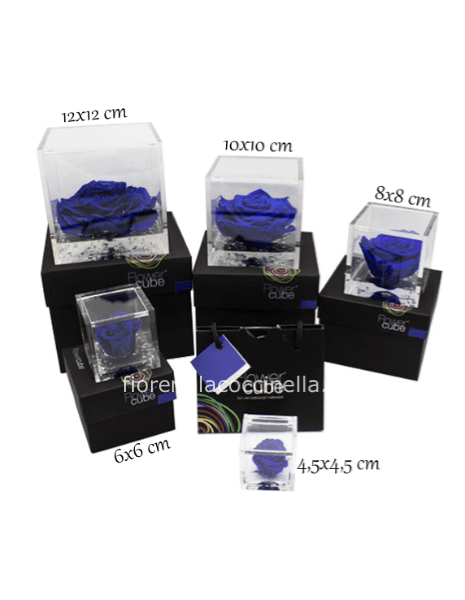 Flower Cube - Rosa Stabilizzata Blue