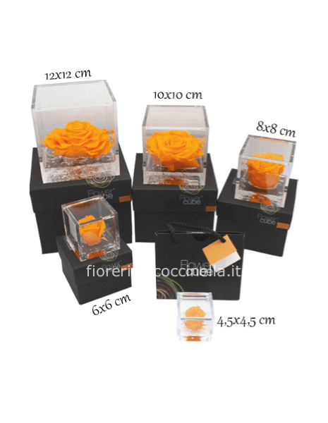 Flower Cube - Rosa Stabilizzata Arancione