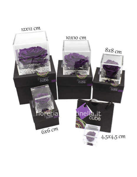 Flower Cube - Rosa Stabilizzata Viola