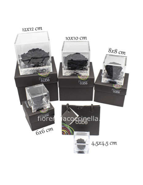 Flower Cube - Rosa Stabilizzata Nera