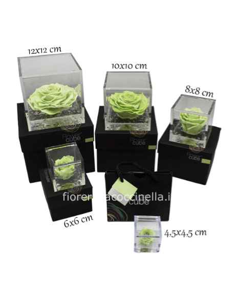 Flower Cube - Rosa Stabilizzata Verde