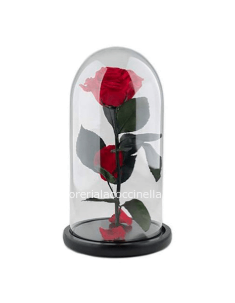 ROSA INCANTATA H10CM BASE LEGNO