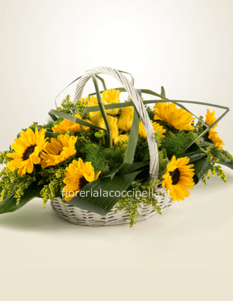 STANDARD CESTO DI GIRASOLI