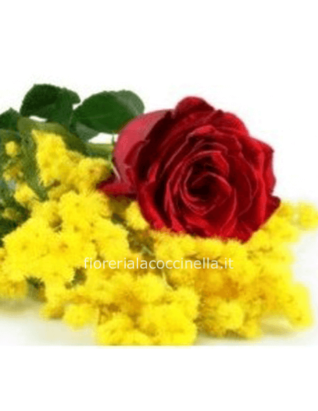 Rose Rosse 70cm & Mimosa