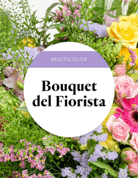 Omaggio Floreale scelto dal Fiorista MULTICOLOR
