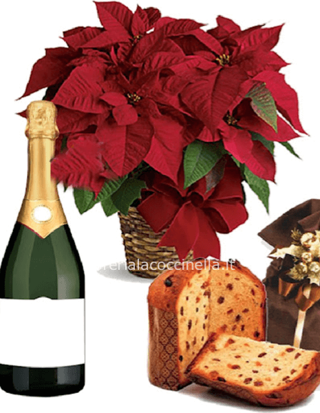 Stella di Natale Dolce & Spumante