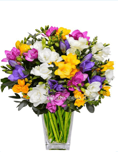 Bouquet Fresie Miste