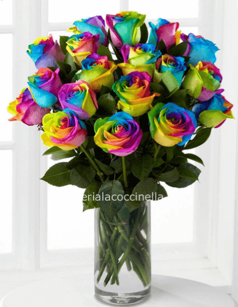 Rosa Arcobaleno cm 80