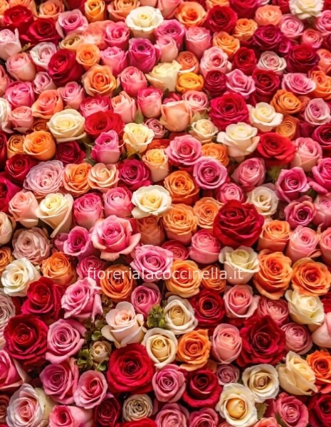 Bouquet Rose Colori Assortiti 