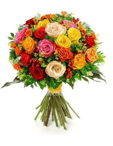 STANDARD ROSE MIX COLOR - NO ROSSO