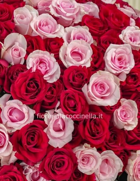 Bouquet Rose Rosse & Rosa
