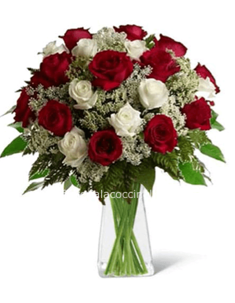 STANDARD ROSE ROSSE E BIANCHE