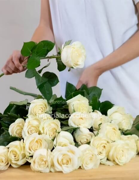 Rosa Bianca 70cm