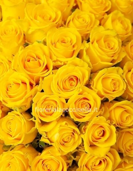 Bouquet Rose Gialle