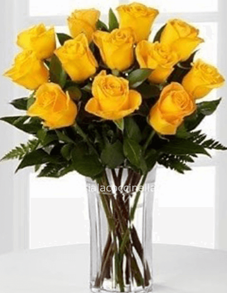 STANDARD ROSE GIALLE