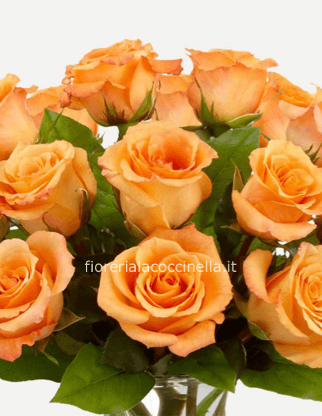 Bouquet Rose Arancio