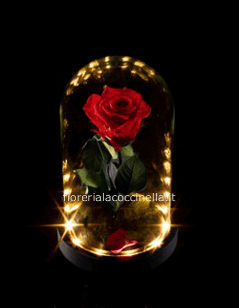 Rosa Stabilizzata Incantata Base Legno Illuminata