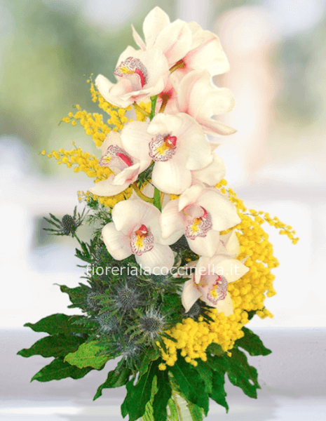 Cymbidium & Mimosa
