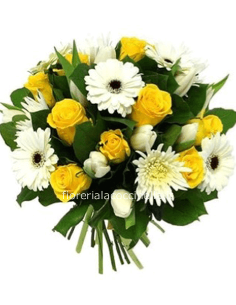 STANDARD GIALLO/BIANCO