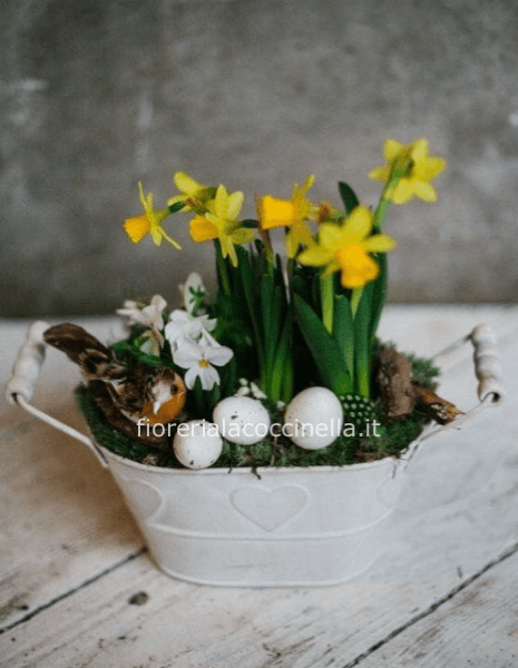 Cesto Piante Miste & Gadget Pasquale