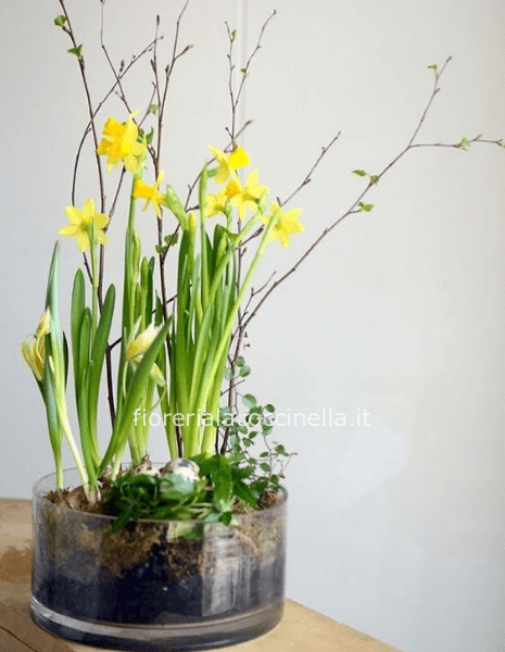 STANDARD VASO VETRO C/3 BULBI + GADGET PASQUALE