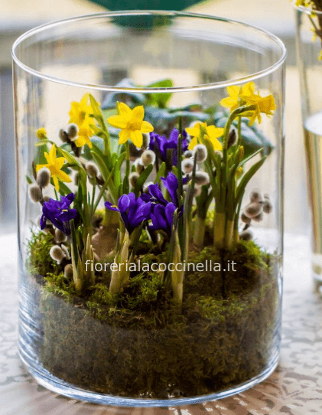 STANDARD VASO VETRO C/3 BULBI + GADGET PASQUALE