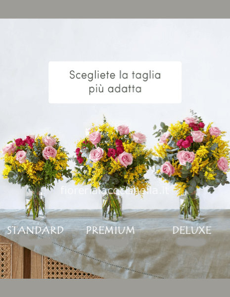 STANDARD ROSE ROSA E FUCSIA + MIMOSA