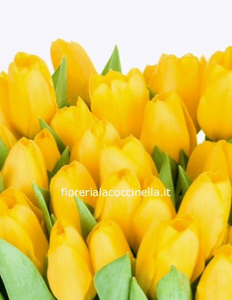 Bouquet Tulipani Gialli