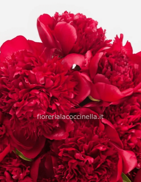 Bouquet Peonie Rosse