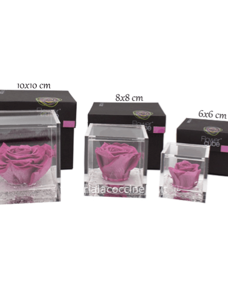 Flower Cube - Rosa Stabilizzata Mirtillo