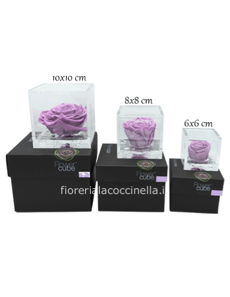 Flower Cube - Rosa Stabilizzata Lilla