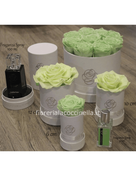 Flower Box 6CM c/ Profumatore 30ml VERDE