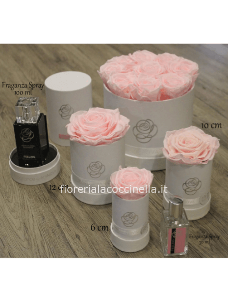 Flowe Box c/Profumo 30ml Rosa Pastello