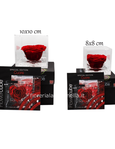 Flower Cube Cuore Speciale Edition