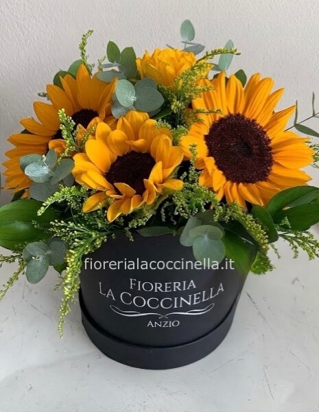 Flower Box di Girasoli