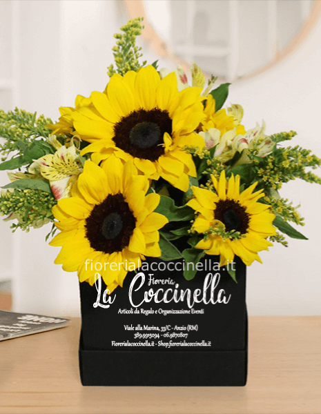 Flower Box di Girasoli