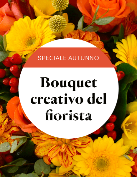 STANDARD MISTO AUTUNNALE