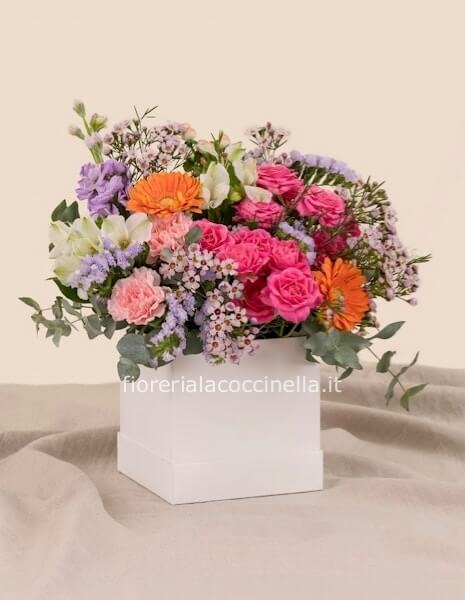 Flower Box Multicolors