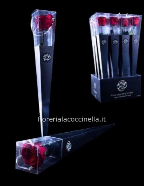 Rosa stabilizzata Rossa 50cm