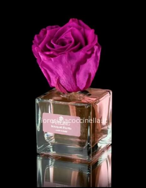 ROSA STABILIZZATA - ELISIR FUCSIA