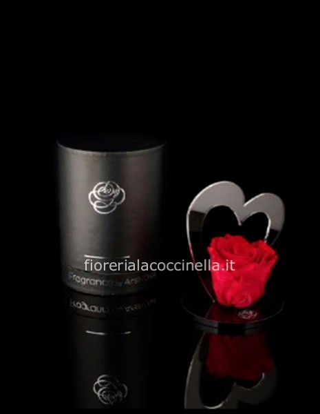 ROSA STABILIZZATA - CORAZòN ROSSO