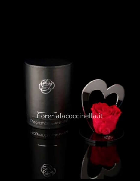 Rosa Stabilizzata - Corazòn Rosso