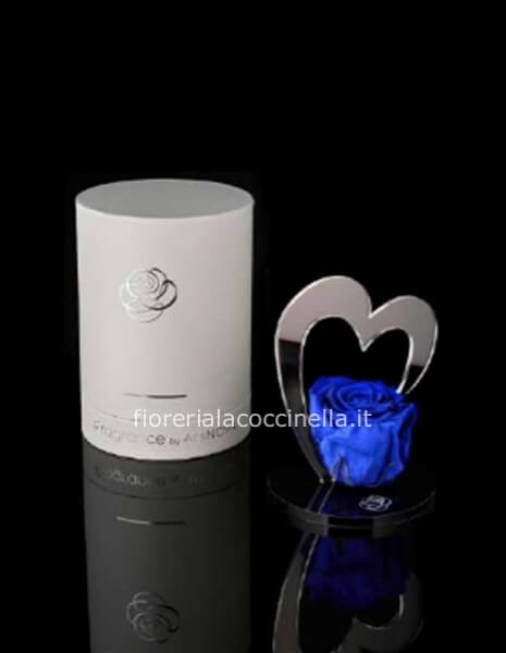 Rosa Stabilizzata - Corazòn Blue