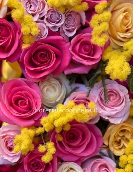 STANDARD ROSE MISTE + MIMOSA